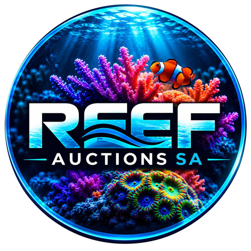 Reef Auctions SA