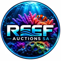 Reef Auctions SA